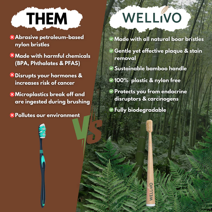 Boar Bristle & Bamboo Toothbrush (4 Pack)