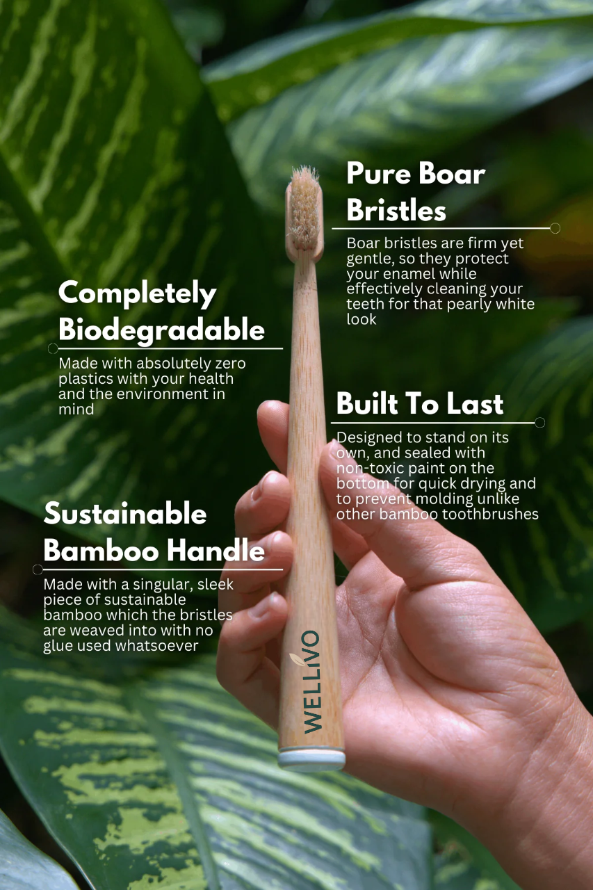 Boar Bristle & Bamboo Toothbrush (4 Pack)