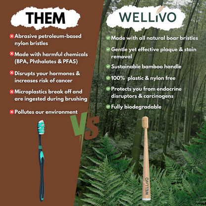 Boar Bristle & Bamboo Toothbrush (4 Pack)