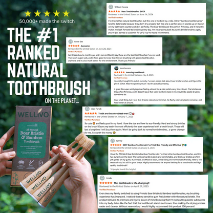 Boar Bristle & Bamboo Toothbrush (4 Pack)